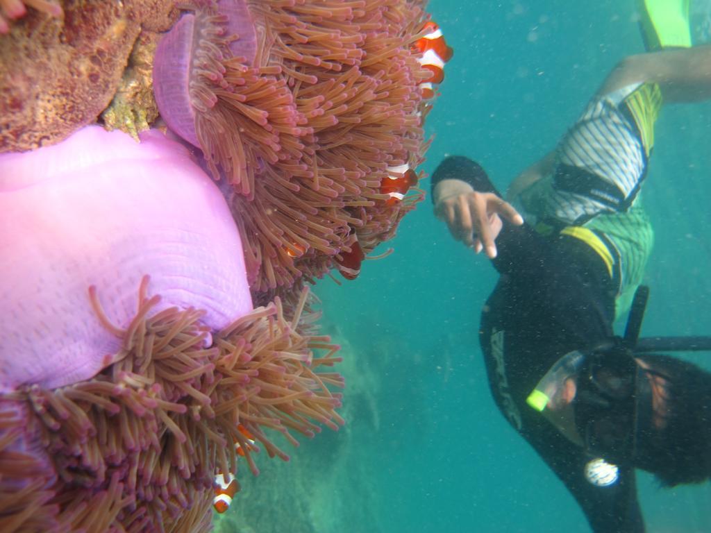 Ombak Dive Resort Perhentian Island Pulau Perhentian Kecil Exterior foto